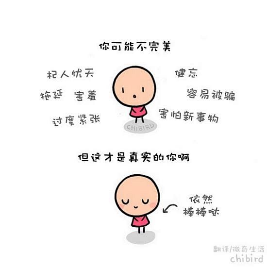 来自chibird的插画作品，用可爱的图...