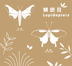 cln08采集到春知
