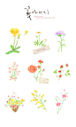 鲜花花篮图案
