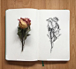 courtneyrothart