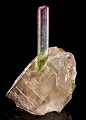 Elbaite Tourmaline on Smoky Quartz from Afghanistan 
by Exceptional Minerals