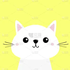 婴儿,白色,猫,小胡子,幽默,小猫,似人脸,动物头,可爱的,脸颊