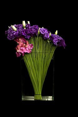 Ovando Floral and Ev...