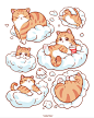 云朵猫咪