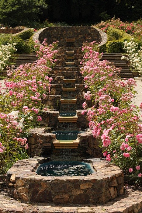Rose lined fountain