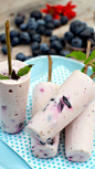 Raw Blueberry Coconut Dreamsicles