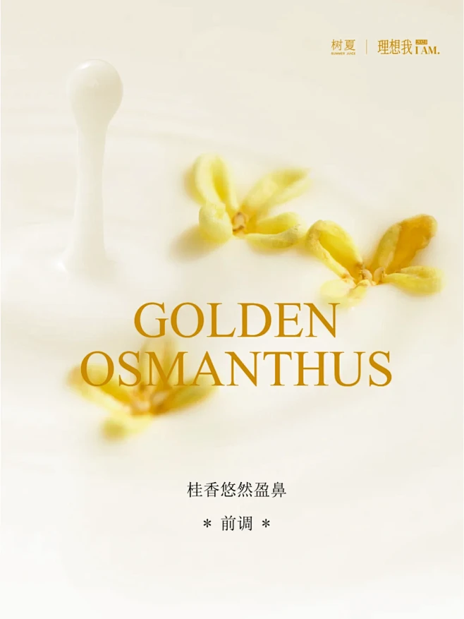 树夏甄选｜坠纯粹的快乐从旷野到杯中 - ...