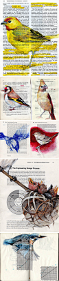 Birds in Books 