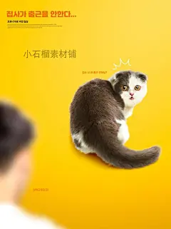 可爱宠物猫咪狗狗和人相处生活工作海报画报PSD设计模板psd505-淘宝网