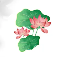 荷花民国风旗袍人物原创插画元素