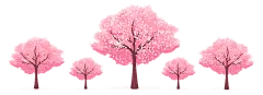 粉色桃花樱花树花瓣花朵