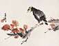 王雪涛专辑。八哥【六】 - 红尘过客 - 蝶谷溪畔