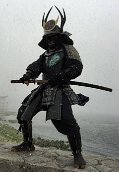 银河河河采集到武士