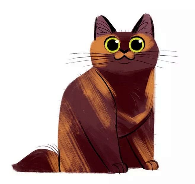 绘本 动物 猫