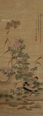 恽寿平——【风清月皎露华凉，静隐花丛暗递香。寄语玉人休折尽，夜深留伴睡鸳鸯。甲寅榴月】花鸟立轴欣赏 | 
清|恽寿平(1633-1690)字寿平、正叔，号南田、云溪外史、东园草衣、白云外史。与“四王”、吴历并称“清初六大家”又称“四王吴恽”。善山水花鸟诗书，书学褚遂良，被称“恽体”。后以花鸟为主，开创没骨花卉独特画风，常州画派开山祖师。