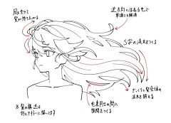 Momo_L采集到发型