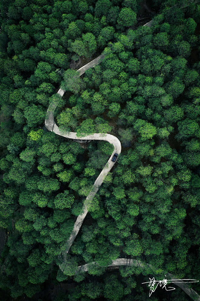 林间小路