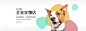 banner狗