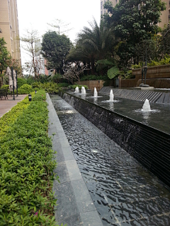土家姑娘采集到景观----水景