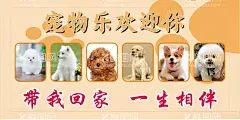 宠物海报  - 源文件下载【酷图网】宠物海报,宠物,宠物医院海报,宠物之家,萌宠之家,宠物零食,汪星人喵星人,宠物促销,宠物食品,宠物诊所,宠物广告,宠物交流,保护宠物,宠物洗澡,宠物用品,宠物展板,宠物素材,宠物领养,宠物展架