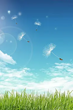 带着梦想飞向远方的蒲公英640x960手机壁纸下载