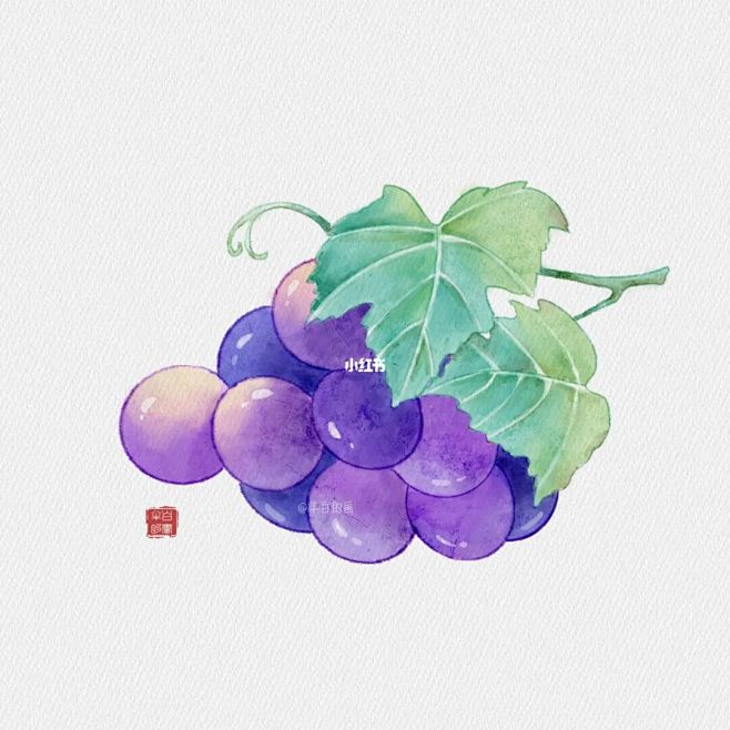 蜜图图片提取