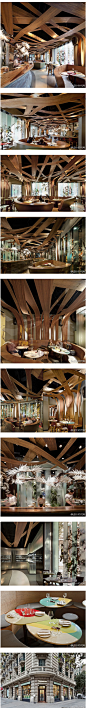 巴塞罗那Ikibana餐厅概念设计_设计时代网|微刊 - 悦读喜欢