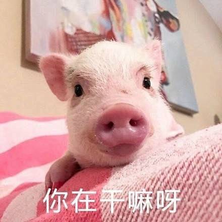 嘻嘻 吸吸 ​​​​