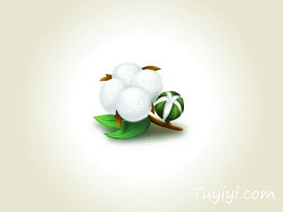 Cotton 棉花ICON设计-花瓣网