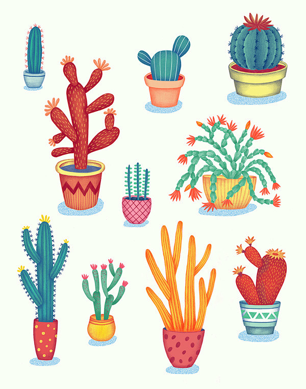 Cactus! on Behance