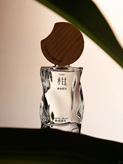 多啦A有了梦采集到现代瓶型