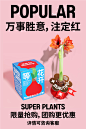 超级植物公司的照片 - 微相册