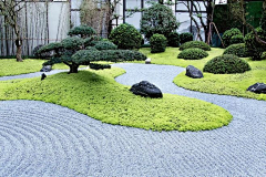 驿寄烟雨采集到A示范区