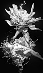 pilyeon . : ARTIST / diffitud666@naver.com / (Find job)