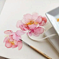 俄罗斯水彩画家 Katerina Pytina  一组水彩绘画 ​(转) ​​​​
