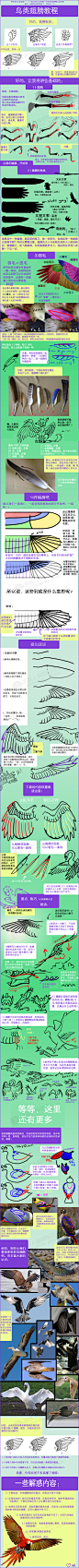 Bird_Wing_Tutorial_by_TheAntimonyElement.png_微盘下载