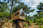 Bare-bones tiny house with glass wall perches on stilts - Curbed