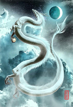 画画的angel采集到龙传说生物