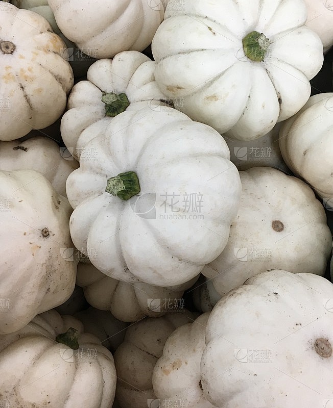 白色的葫芦