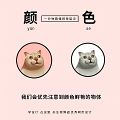 风劣采集到思路