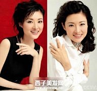 推荐2011年最优雅的淑女发型图片_职场...