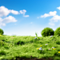 haha0816_Miniature_landscape_desktop_shooting_grass_fluffy_text_30591a5a-2b3f-485b-bf0c-d287ac8009d9