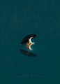lost7