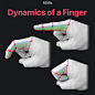 Dynamics of a finger