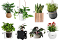 Self-Watering Planters That Will Help You Get a Green Thumb·花器