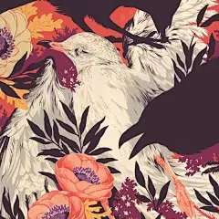 温柔与狂野 在大自然中