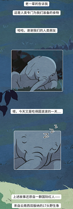 针织菇采集到条漫长图