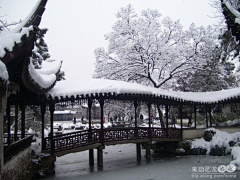 Hehaiwei采集到拙政园 ＜苏州园林的雪