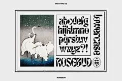 60年代复古迷幻怪诞酸性逆反差Y2K扭曲字母标题设计PSAI英文字体安装包 TAN – ROSEBUD插图3