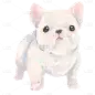 手绘-油画可爱动物元素贴纸-狗4